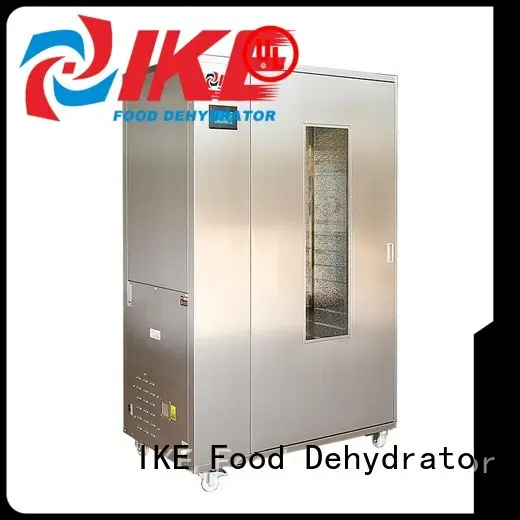 middle large dehydrator dehydrator pump IKE 1
