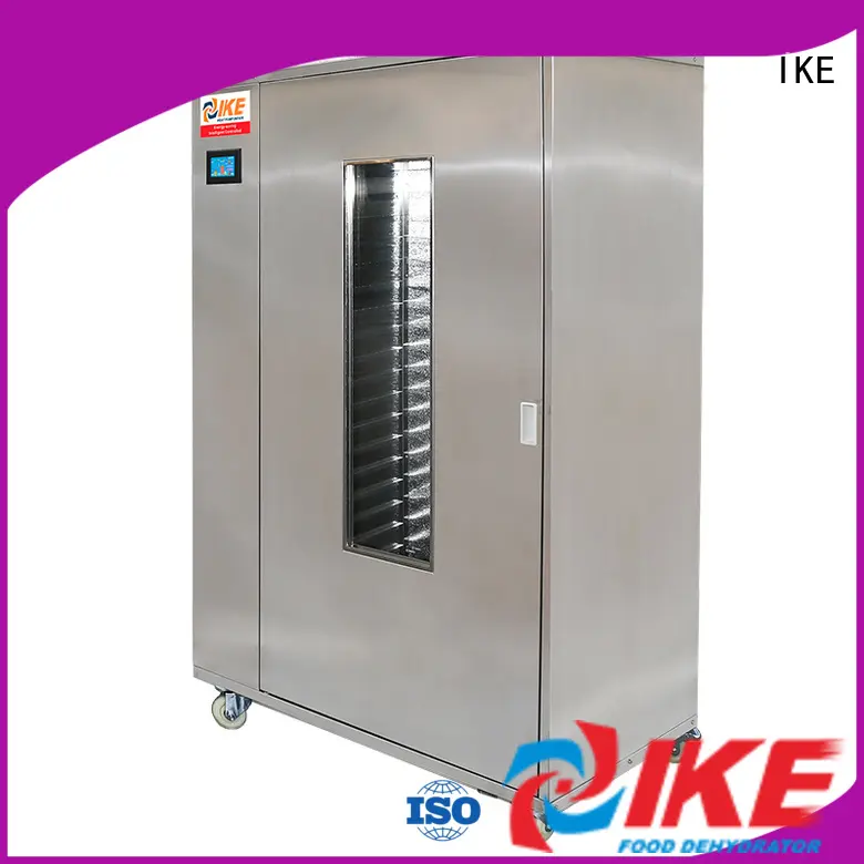 IKE laboratory food dryer dehydrator pump for vegetable 1