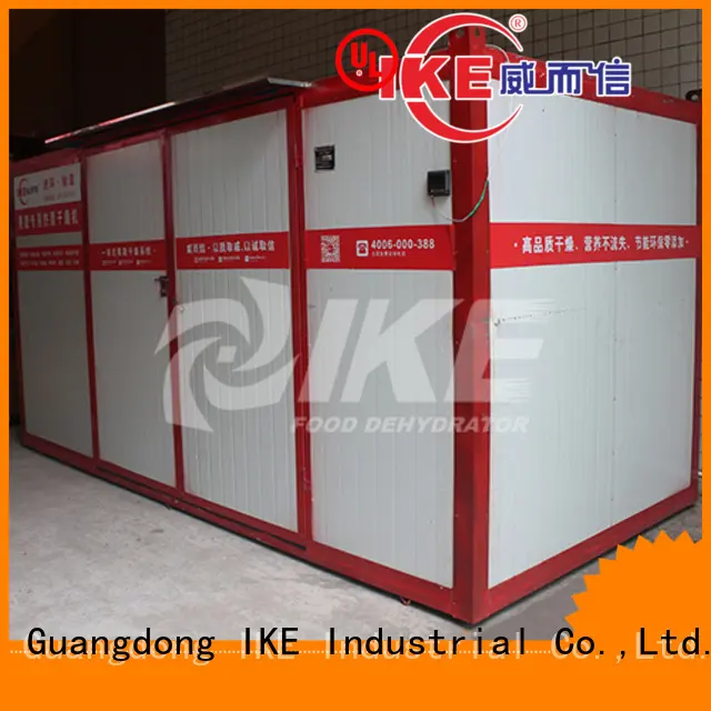 IKE vegetable fruit and vegetable dryer machine dryer fruit 1