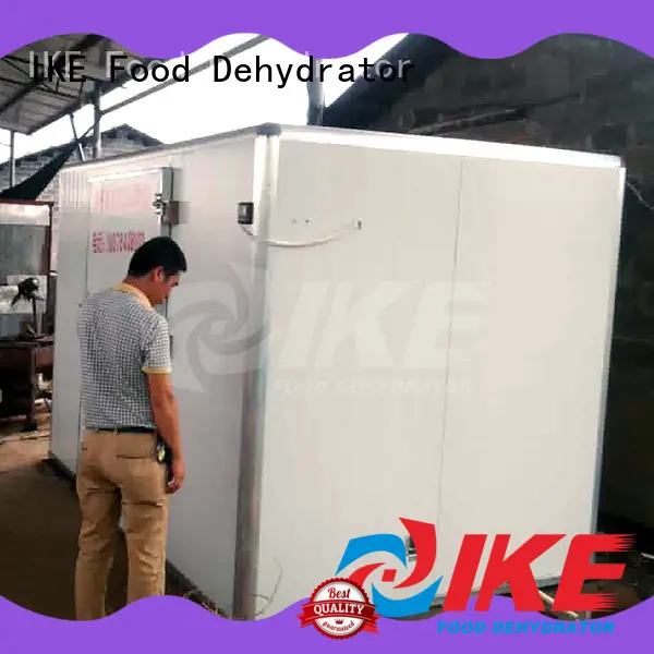IKE low commercial dryer sale for vegetable 1