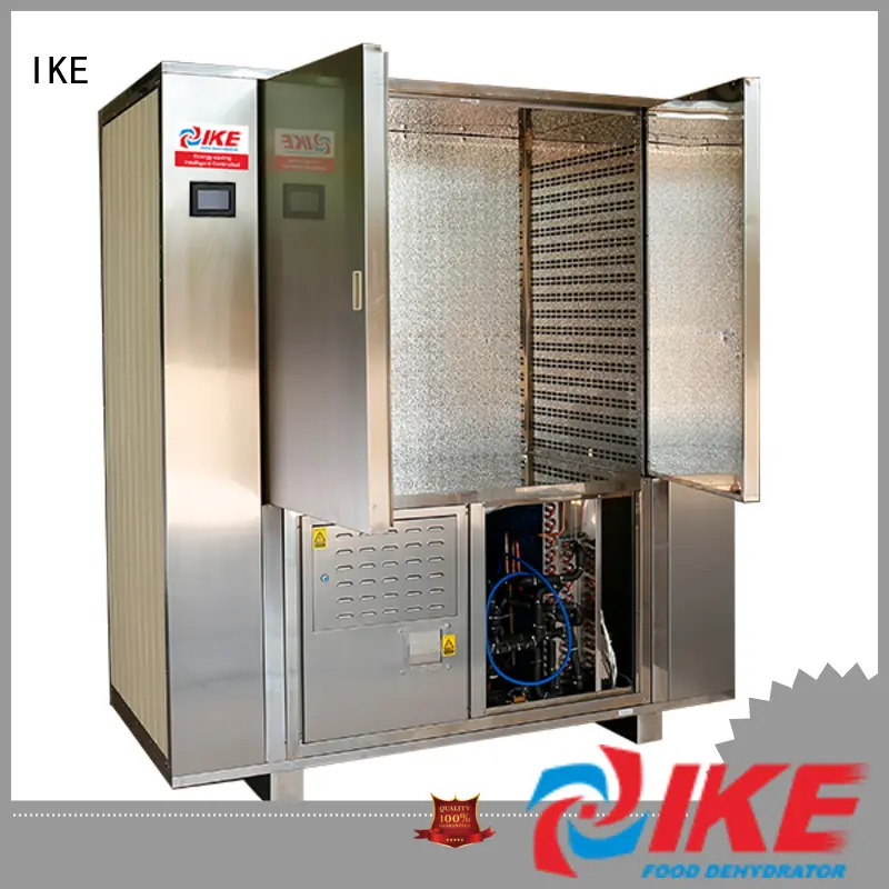 precious cabinet dryer for food middle pump IKE 1