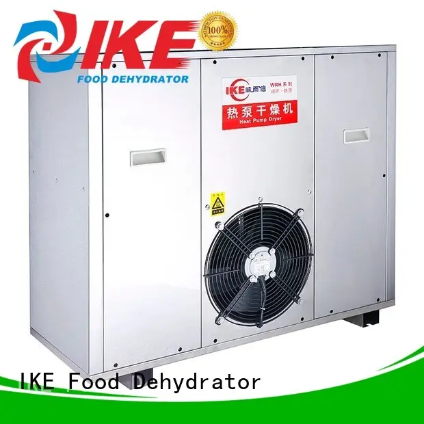 digital best affordable dehydrator sale for jerky IKE 1