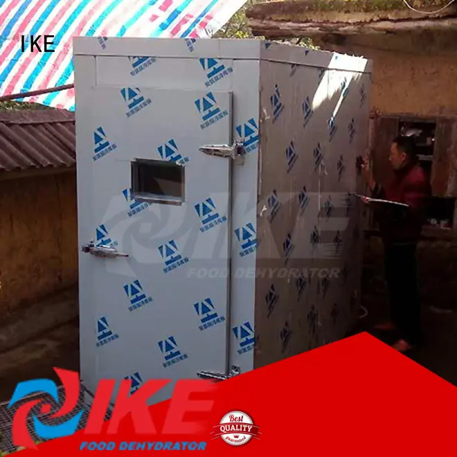 electric vegetable dryer equipment for beef IKE 1