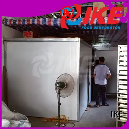 fruit stainless steel food dehydrator sale for beef IKE 1