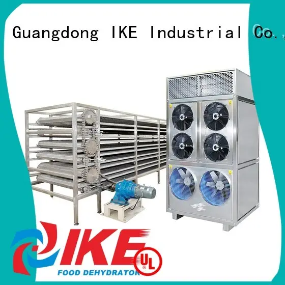 conveyor drying line customized for fruit IKE 1