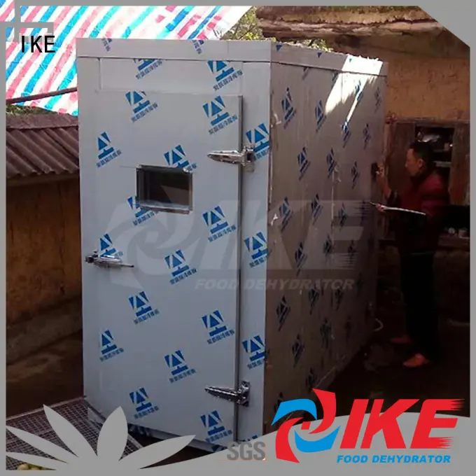 stainless vegetable dryer machine dehydrator for dehydrating IKE 1