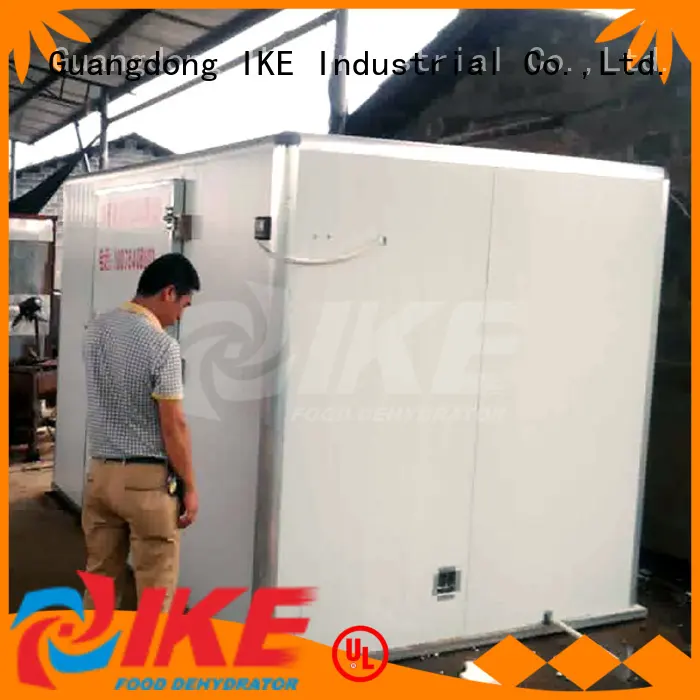 vegetable commercial food dryer machine dryer for food IKE 1