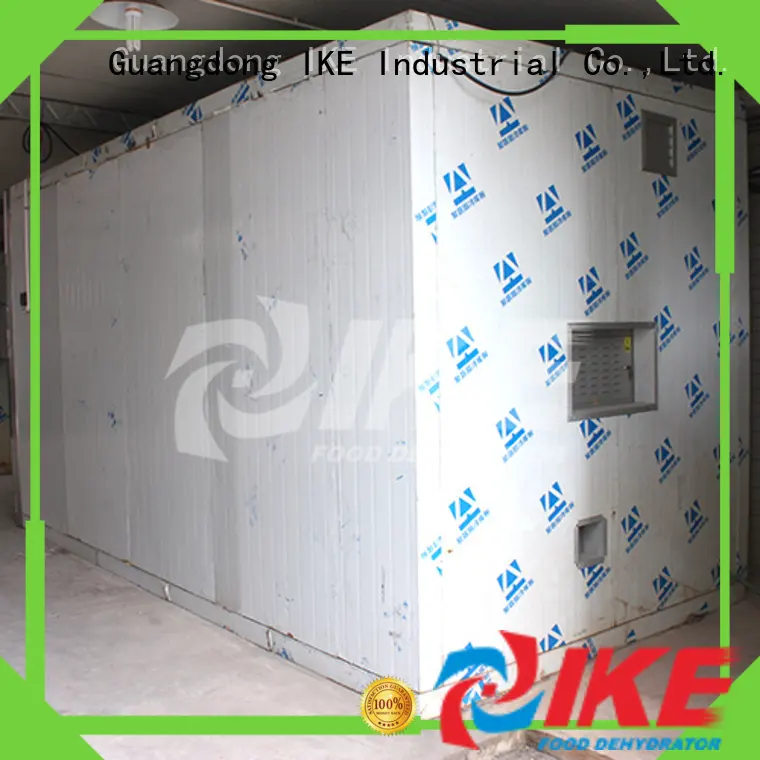 machine commercial dryer dryer for vegetable IKE 1