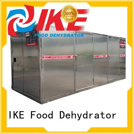 cheap food dehydrator stainless fruit IKE 1