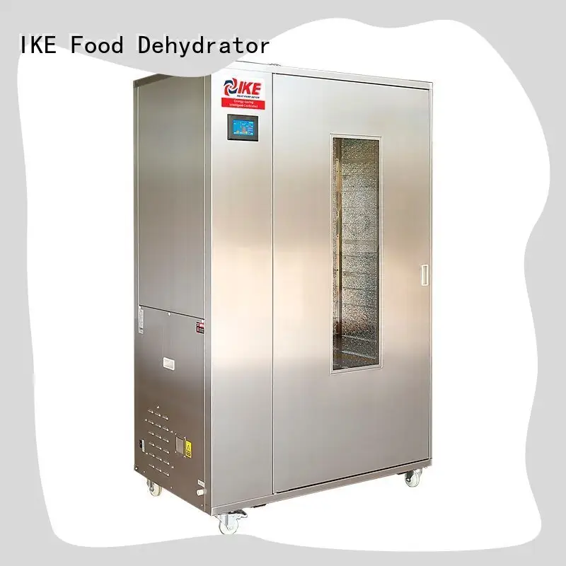 precious best meat dehydrator multifunction for leave 1