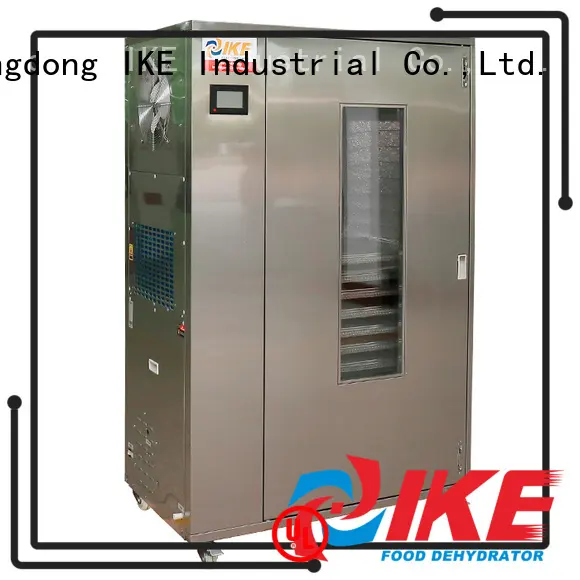 IKE electric drying oven middle for leave 1