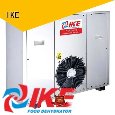 IKE low commercial food dryer machine middle fruit 1