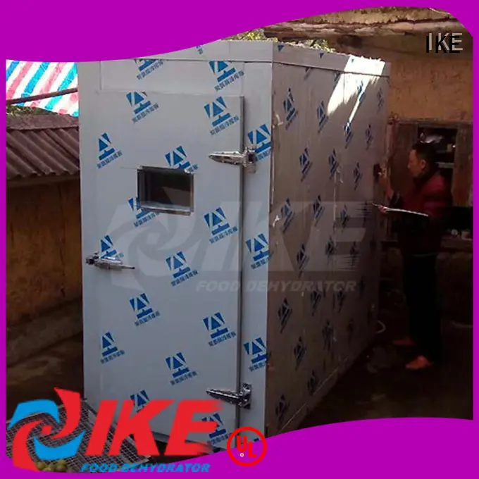 IKE fruit and vegetable dryer machine popular fruit 1