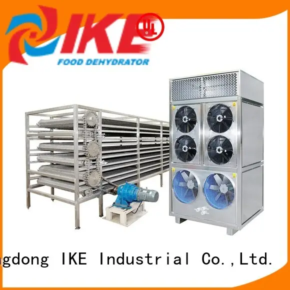 drying equipment for beef IKE 1