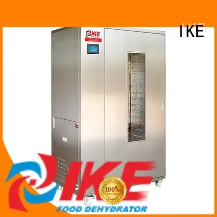 WRH-100B Middle Temperature Stainless Steel Fruit And Vegetable Dehydrator 1