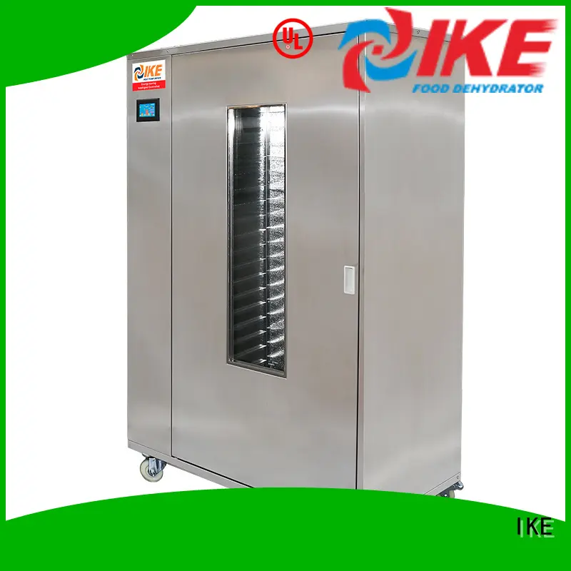 WRH-100G High Temperature Commercial Meat Dryer Oven Machine 1