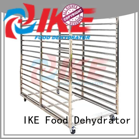 stainless steel fruit and vegetable shelf for food dehydrating room 1