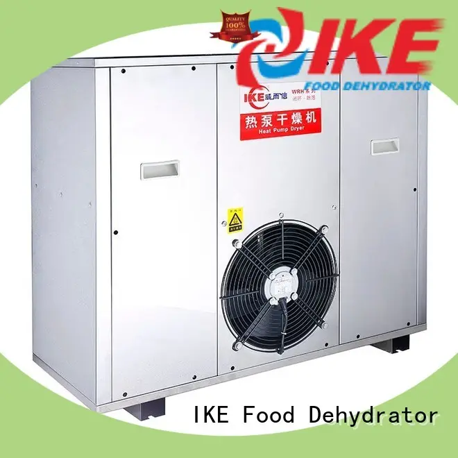 WRH-200G High Temperature Stainless Steel Industrial Dehydrator2 1