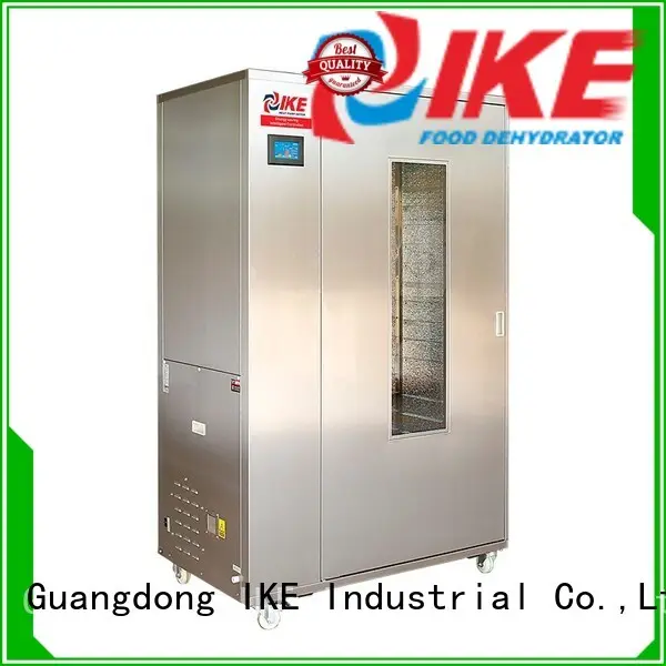 IKE industrial food dehydrator low-noise for leave 1