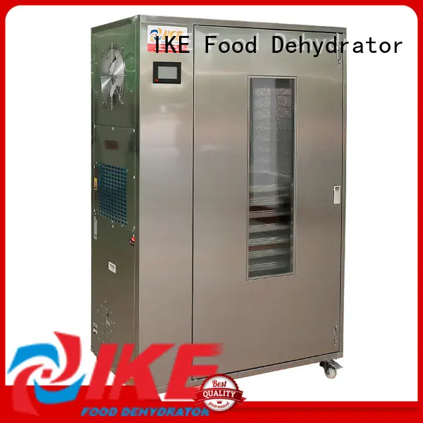 IKE precious dryer oven machine temperature for herbs 1