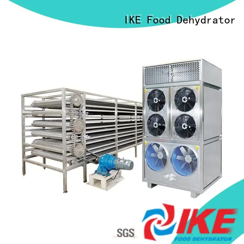 steel conveyor belt top brand for fruit IKE 1