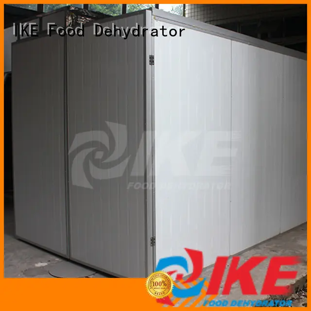 hot air dryer machine for beef IKE 1