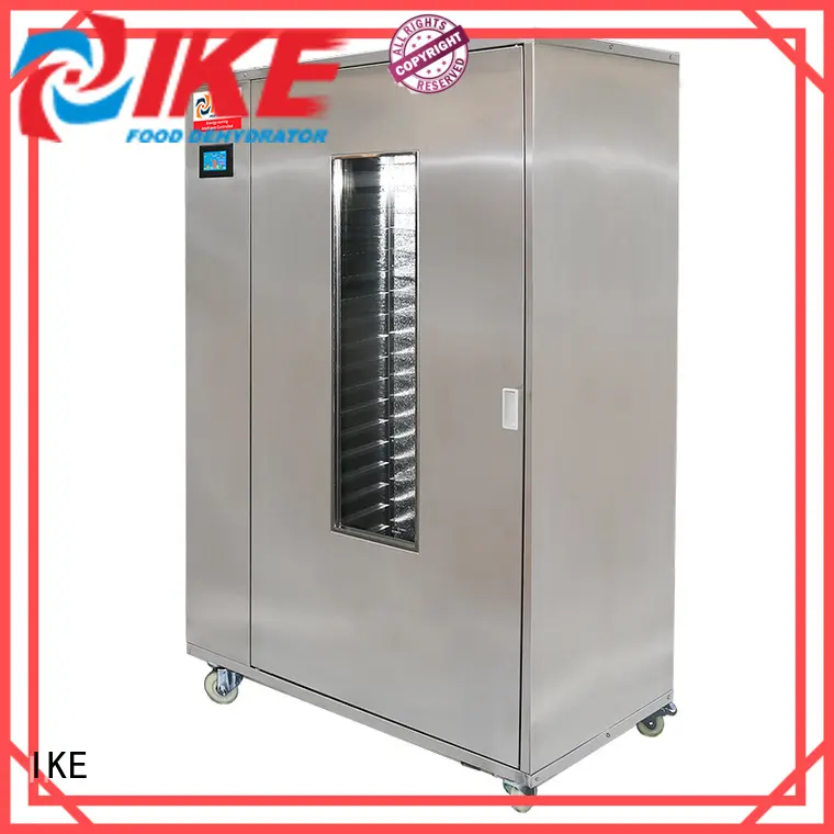 industrial food dehydrator allinone pump IKE 1