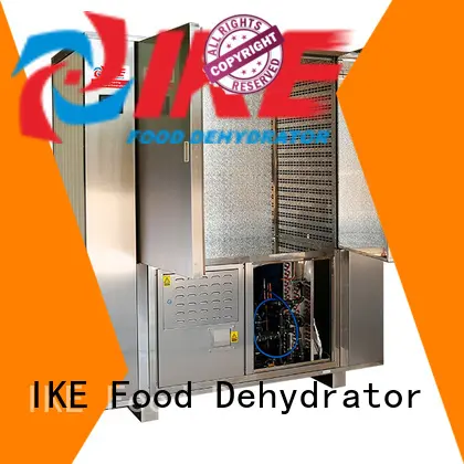 precious drying oven price stainless steel for leave 1
