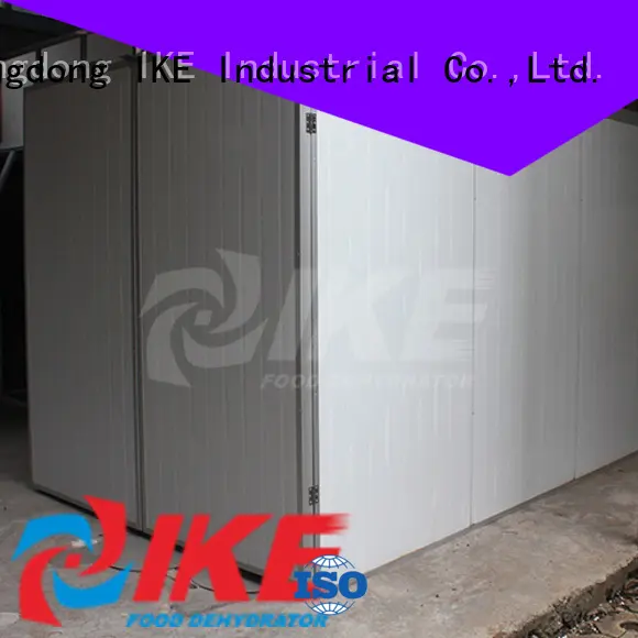 IKE stainless steel professional dehydrator for food 1