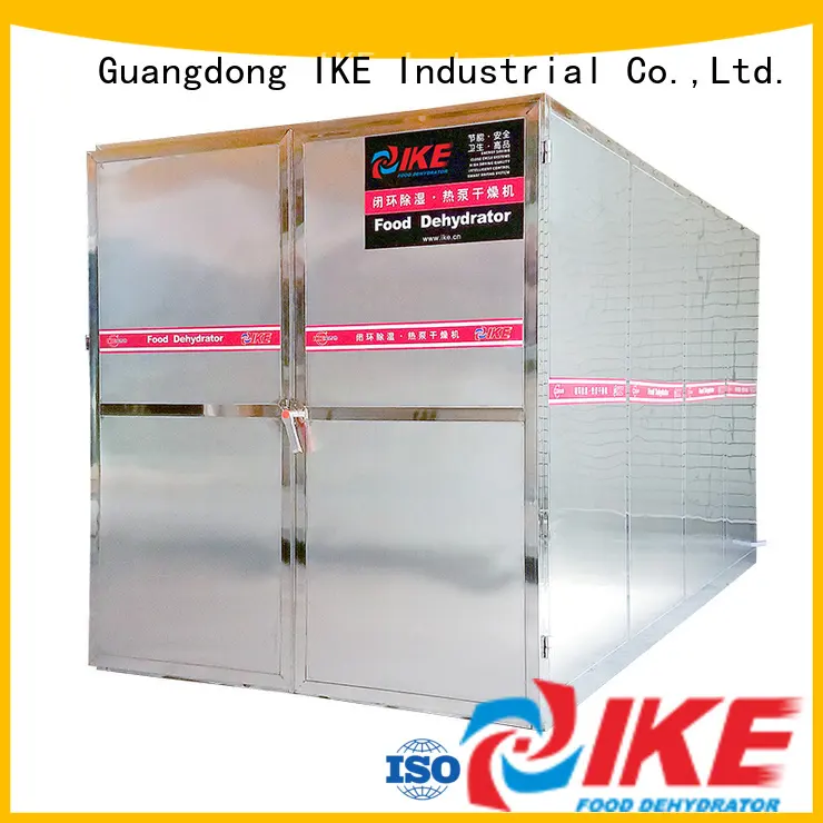 adjustable fruit and vegetable dryer machine food machine at discount IKE 1