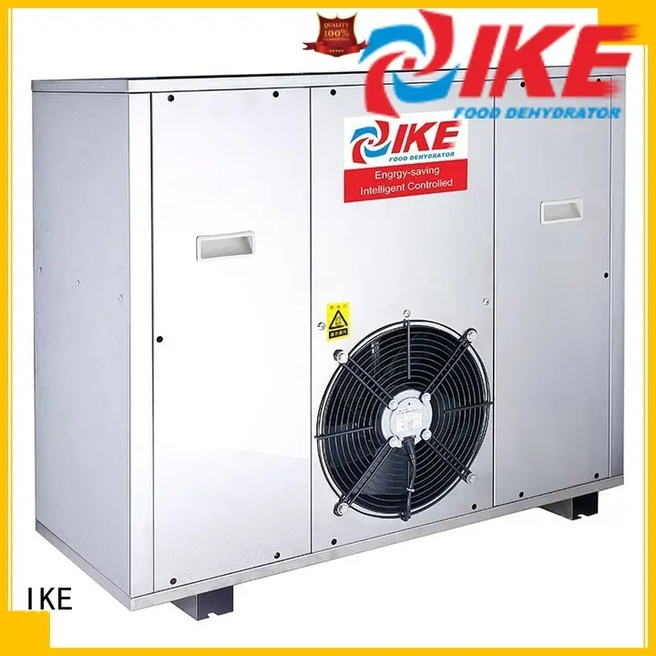 IKE digital heated air dryer fruit 1