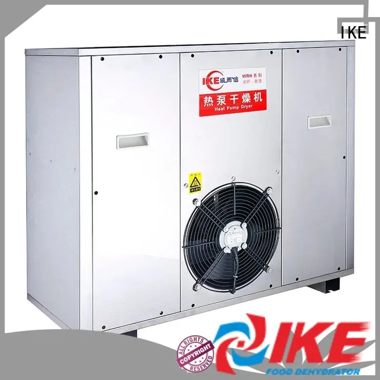 professional food dehydrator for dehydrating IKE 1