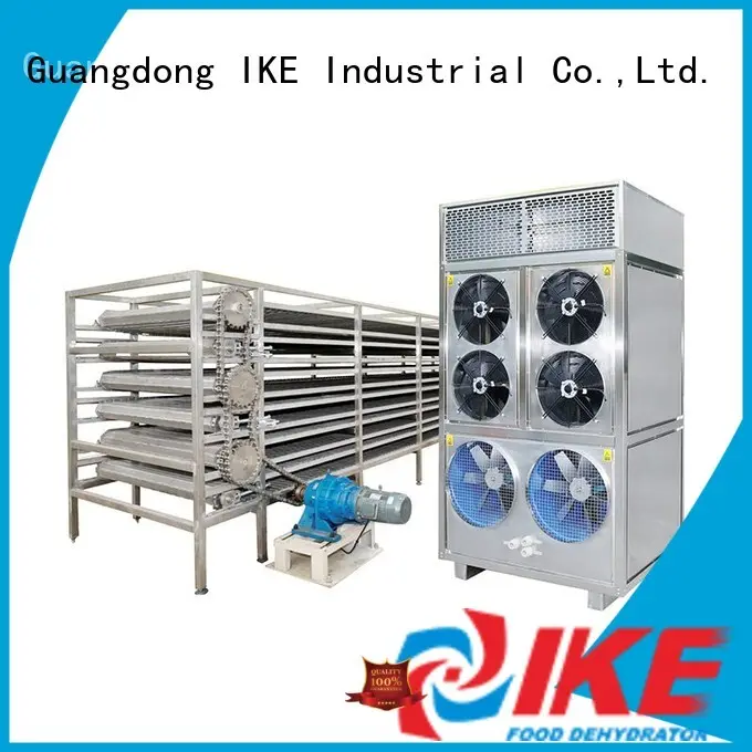 IKE steel conveyor belt commercial for food 1