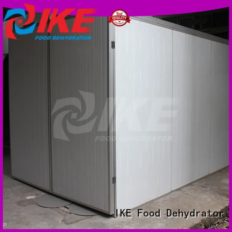 best buy food dehydrator fruit IKE 1