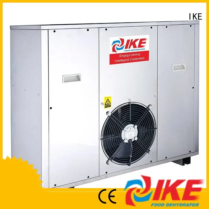IKE stainless steel dehydrator uk popular fruit 1