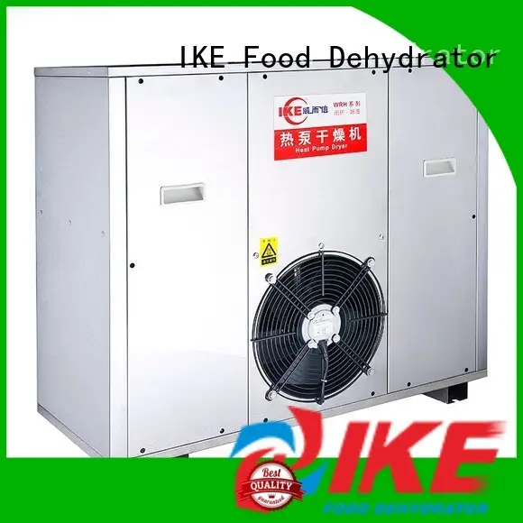 IKE professional best buy food dehydrator middle fruit 1