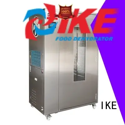 precious dehydrator price middle fruit IKE 1