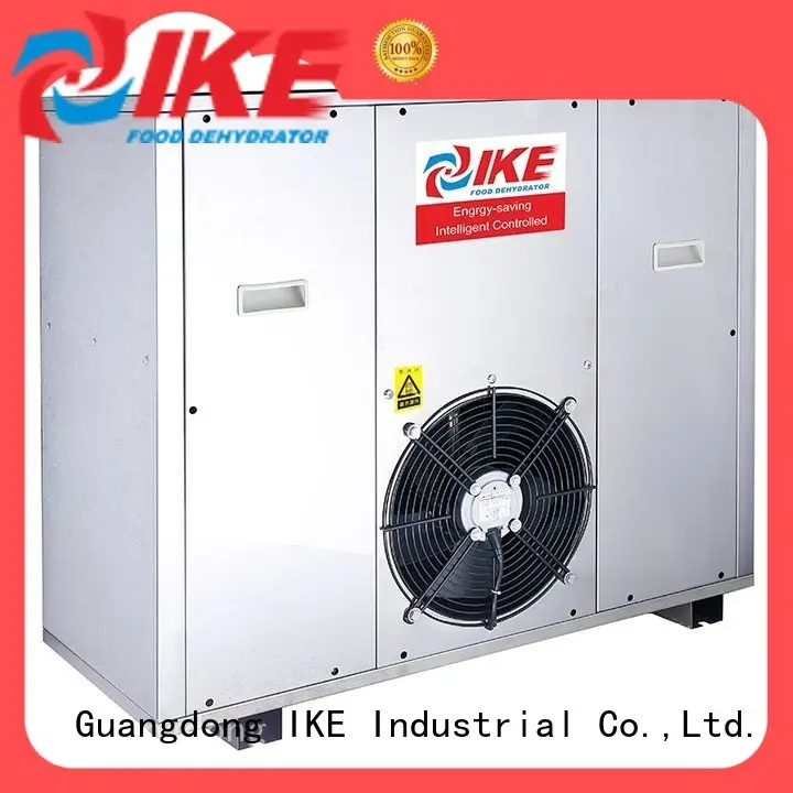 IKE heated air dryer dryer equipment fruit 1