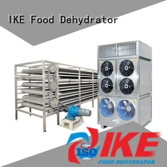 IKE on-sale conveyor belt manufacturers for food 1