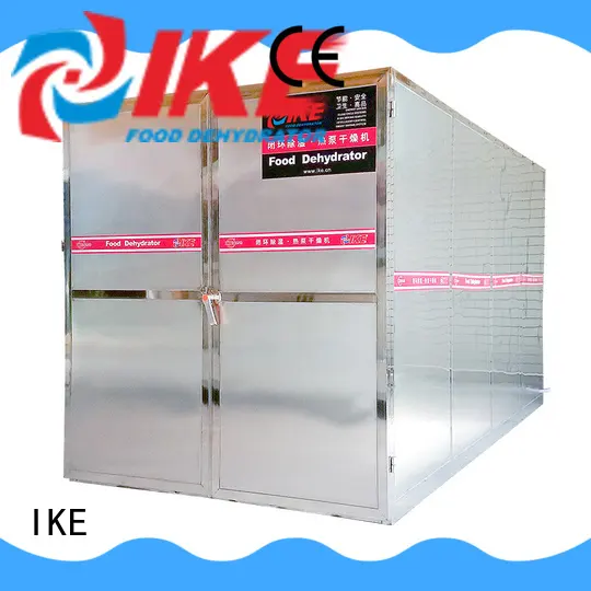 dry cabinet heat IKE 1