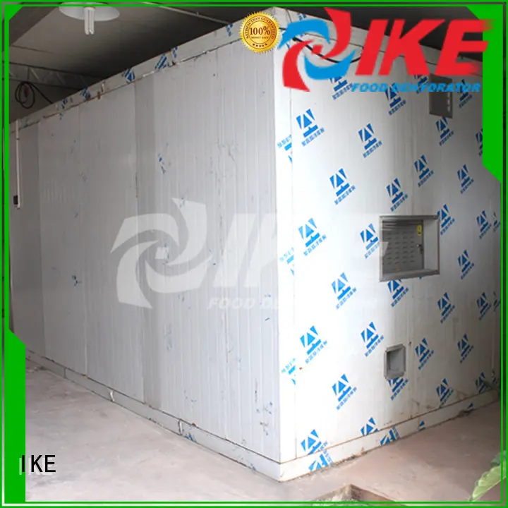IKE industrial industrial food dehydrator for drying 1