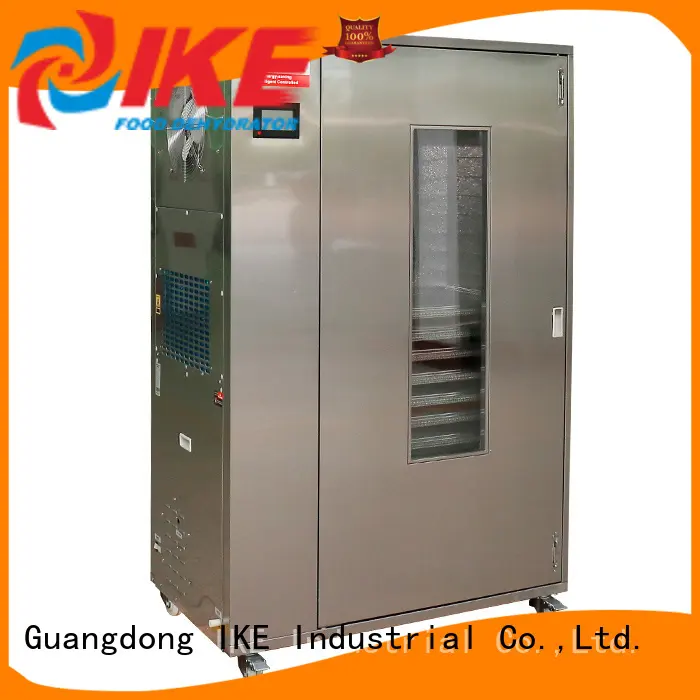 IKE mini industrial drying oven for vegetable 1