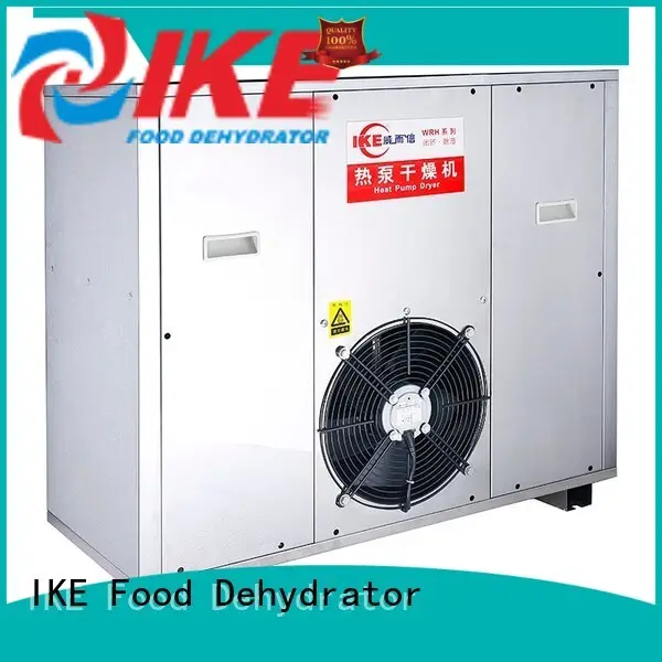 IKE commercial food dryer machine popular for vegetable 1