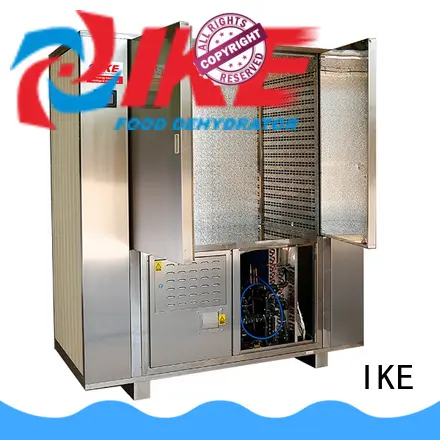 IKE electric dry cabinet low-noise for leave 1