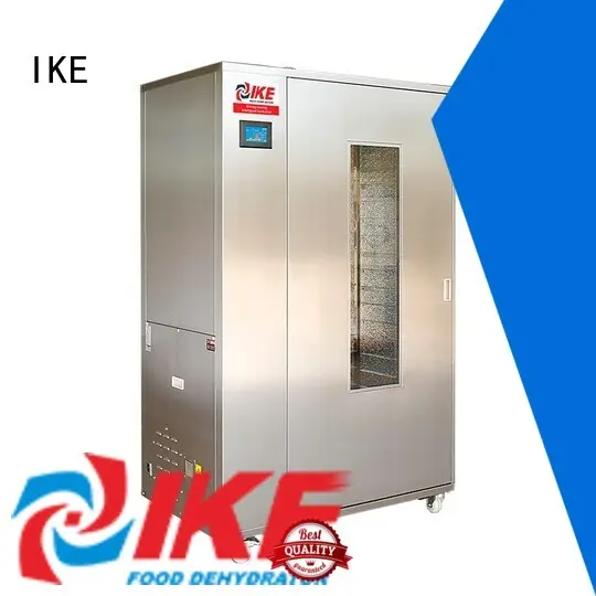 IKE electric cabinet dryer for food fruit 1
