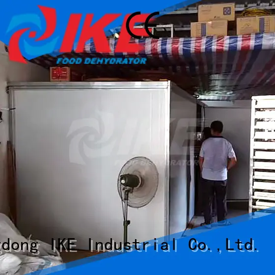 IKE commercial large commercial dehydrator popular for food 1