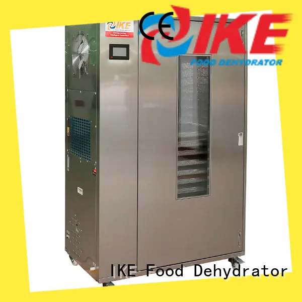 IKE adjustable cheap food dehydrator low-noise heat 1