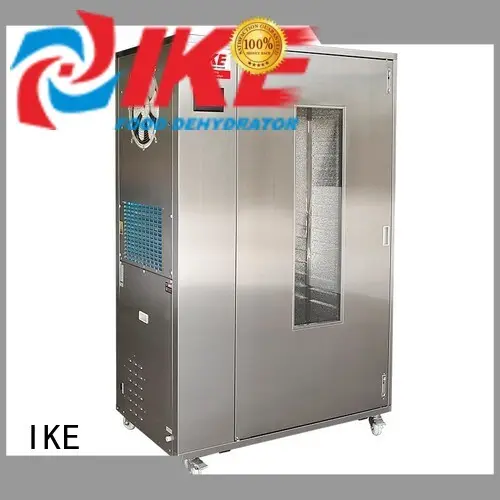 mini drying oven system fruit 1