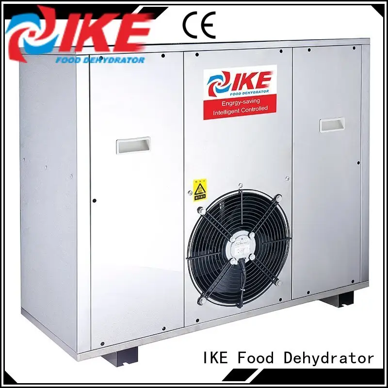IKE electric best affordable dehydrator machine for drying 1