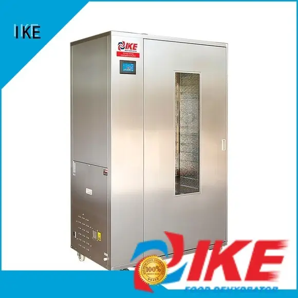 chinese meat dehydrator system for meat 1